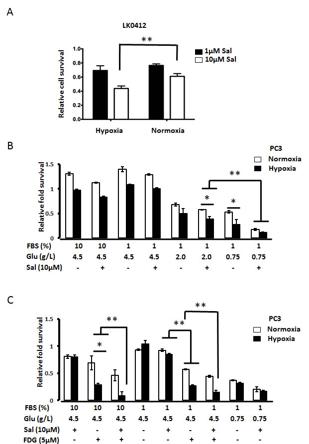 Hypoxia potentiates Salinomycin-triggered cell death.