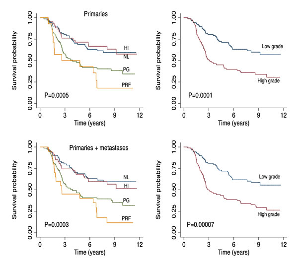 Top panel: Melanoma specific survival of patients with primary tumors from the two datasets.
