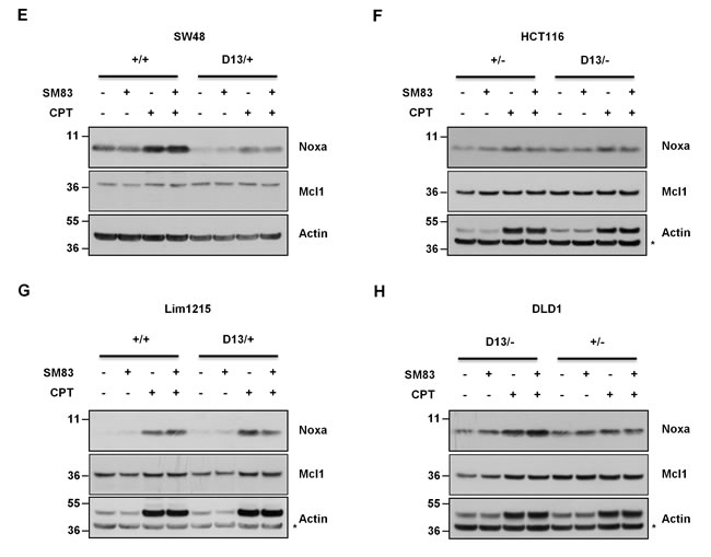 fig5a