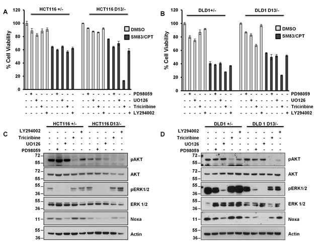 Aberrant AKT activation protects HCT116 and DLD1 cells from the pro-death effect of oncogenic