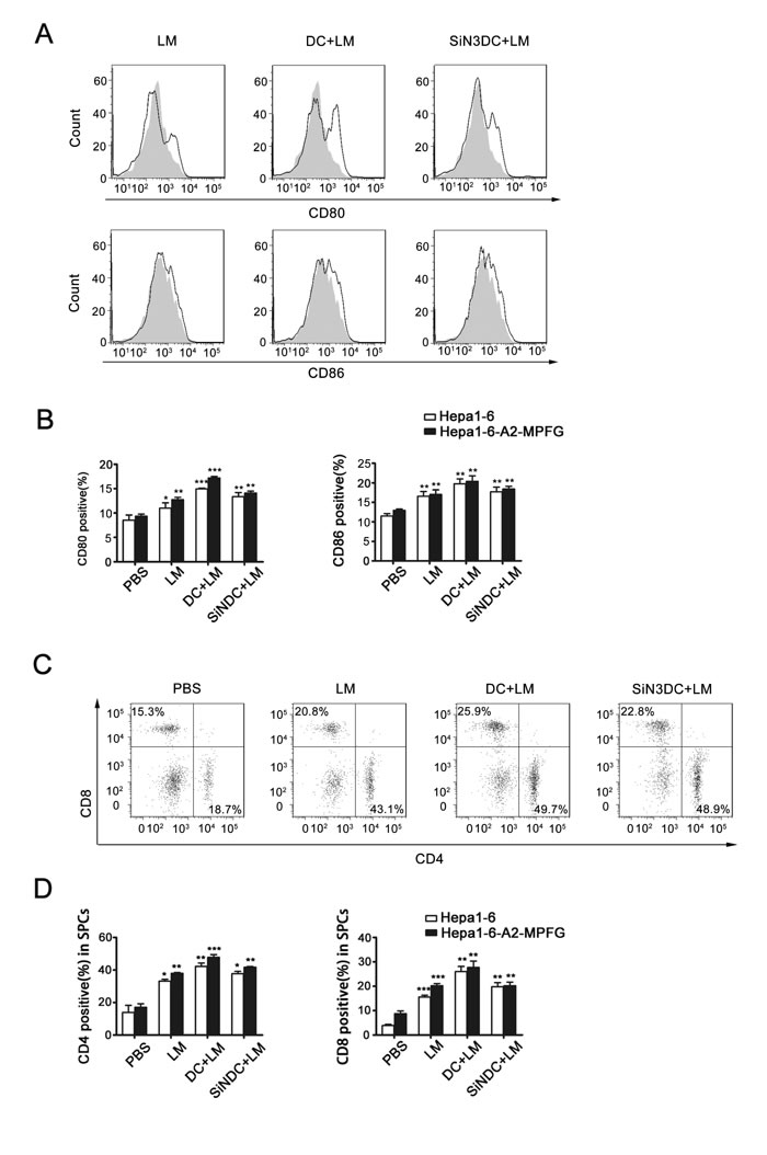 Fig. 5: Combined DC and LM treatment increases immune system effects in spleen.