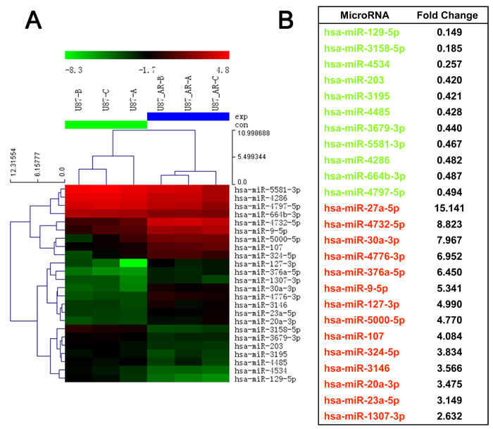 MicroRNA dysregulation in the imatinib resistant GBM cell line U87AR.