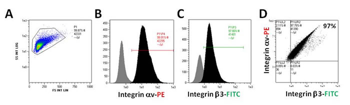 B16F10 cells were collected and measured for &#x3b1;v/&#x3b2;3 monomers expression by flow cytometry.