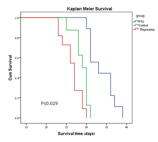 Kaplan-Meier survival plots of the PTU, FT