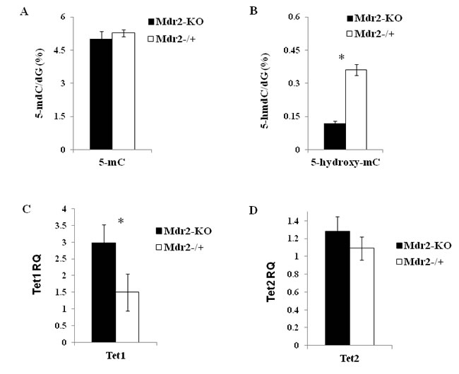 DNA methylation/hydroxymethylation and expression of the Tet genes in Mdr2-KO liver at the late precancerous stage.