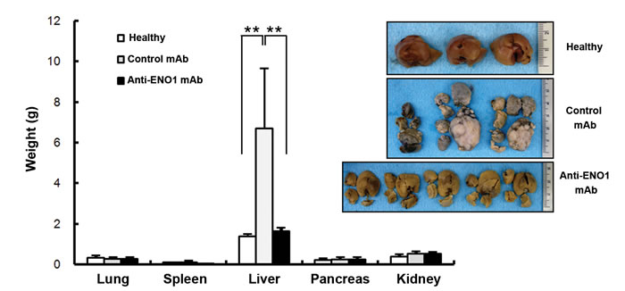 fig4c