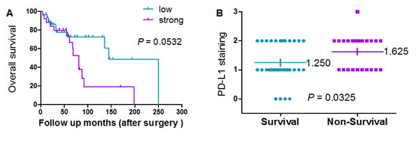 Prognostic value of PD-L1 expression in chordoma.