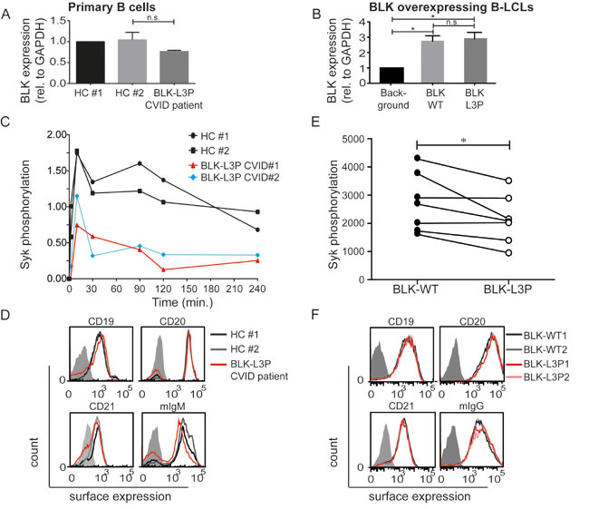 Fig.2: Reduced Spleen tyrosine kinase (Syk) phosphorylation upon B cell receptor crosslinking of CVID (L3P-BLK) patient CD20