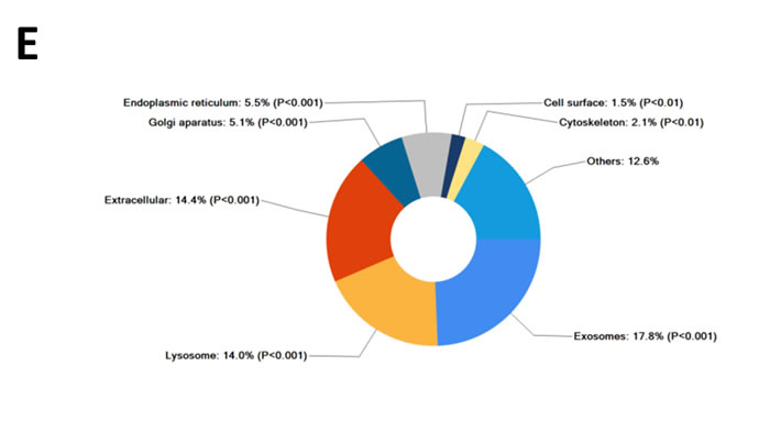 fig1c