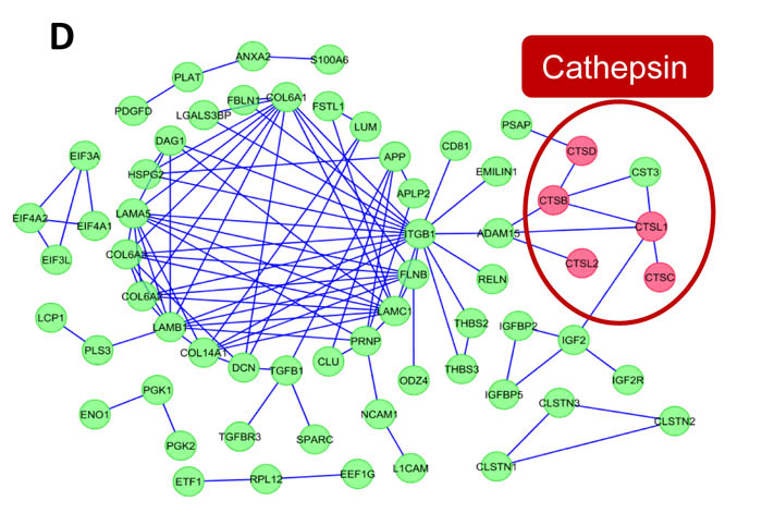 fig2c