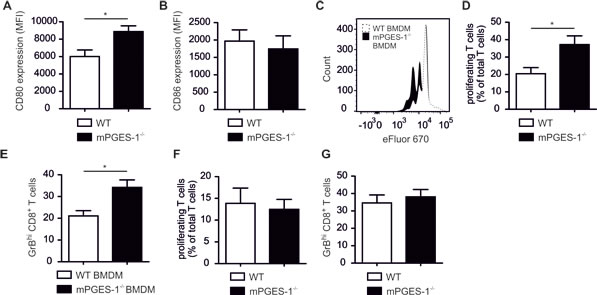 MPGES-1-deficiency promotes CTL activation by tumor-associated macrophages.