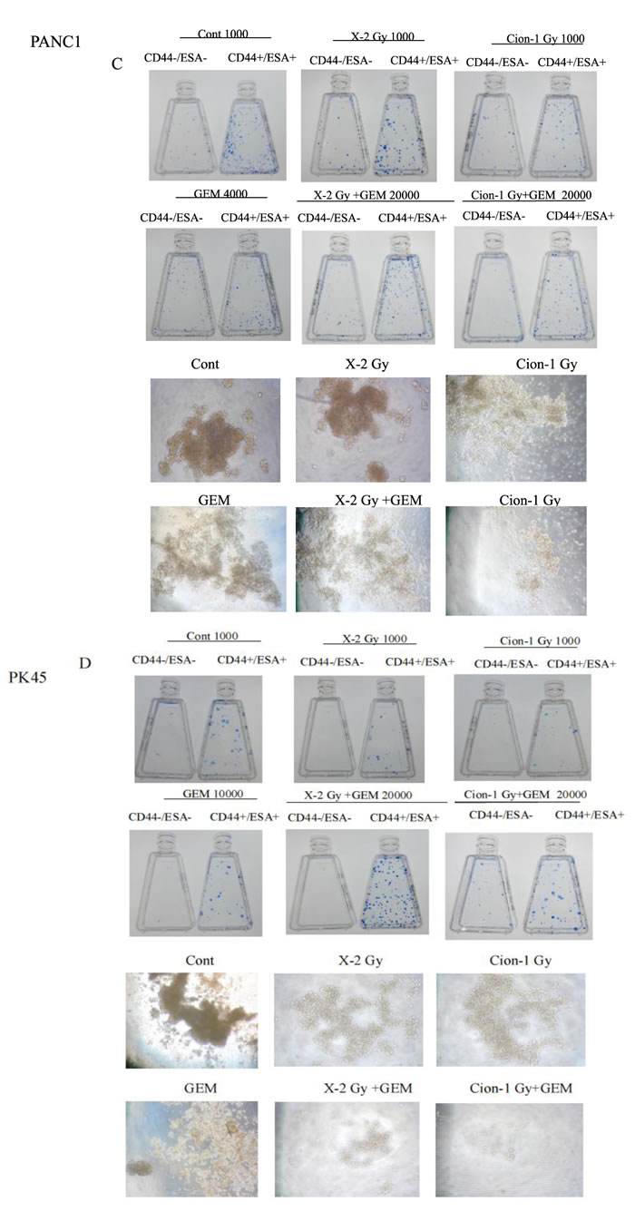 fig3b