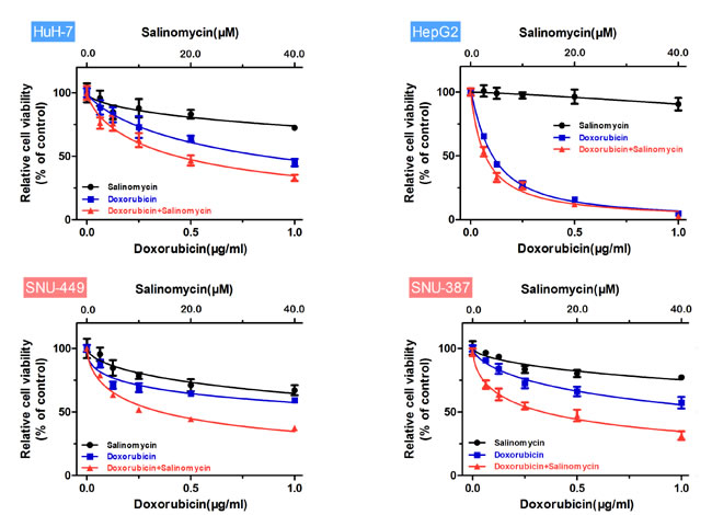 Salinomycin enhances the cytotoxicity of doxorubicin in HCC cells.