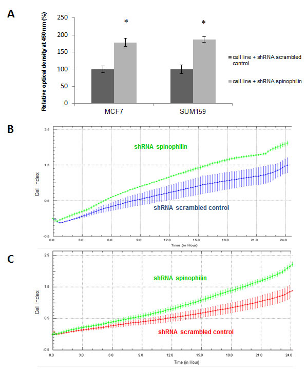 Silencing of spinophilin increases cellular growth rates, migration and invasion.