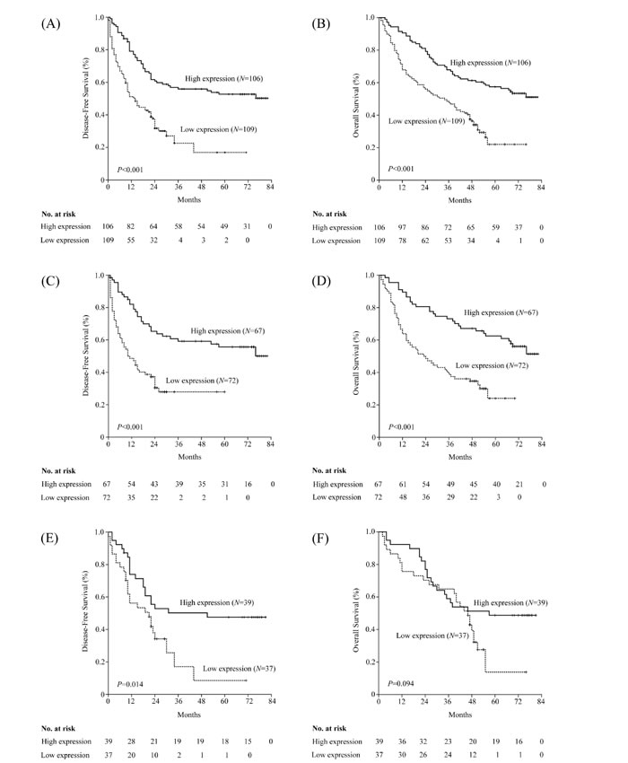 Kaplan&#x2013;Meier estimates of the probability of survival in patients with non-small cell lung cancer (NSCLC).