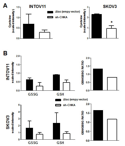 Stable CHKA silencing affected cysteine and glutathione intracellular content.