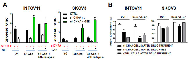 ROS levels and drug sensitivity are affected by modulations of intracellular GSH content mimicking CHKA silencing and/or expression.
