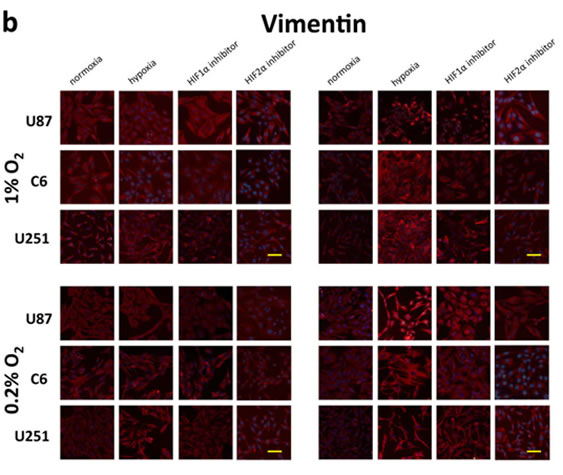 fig4b