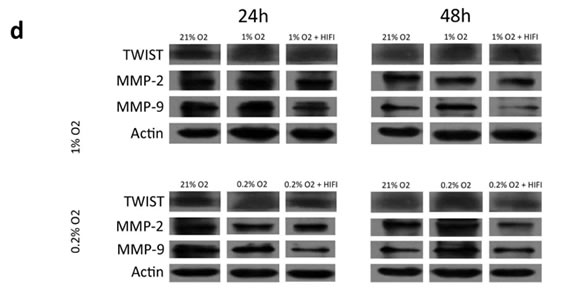 fig4d