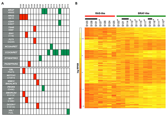 Point mutations, gene fusions and gene expression signatures in papillary thyroid carcinoma.