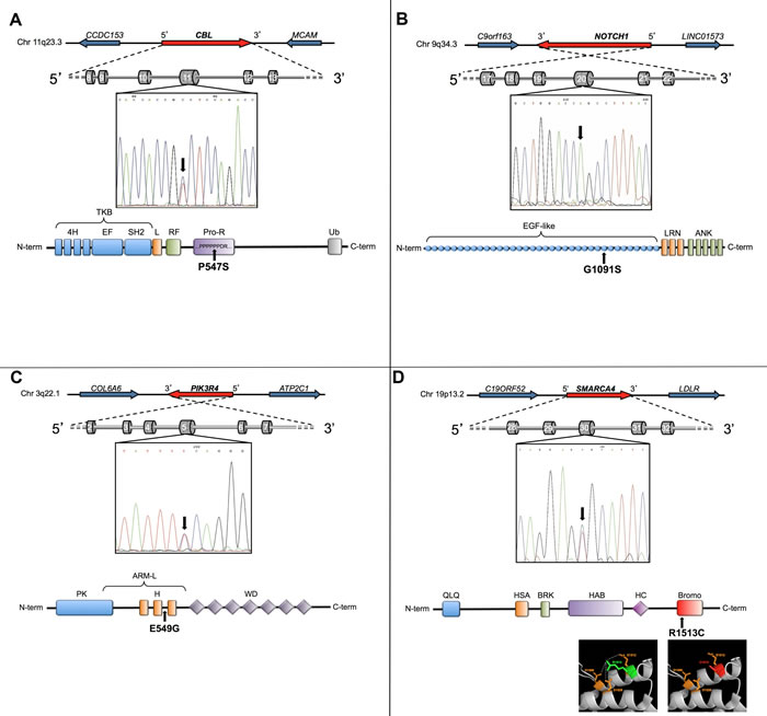 New mutations identified in papillary thyroid carcinoma.