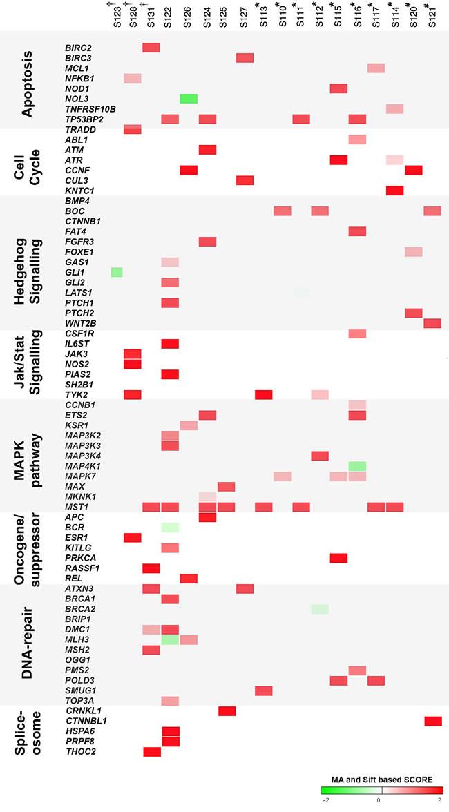 Genomic landscape of PTC mutations and related pathways.