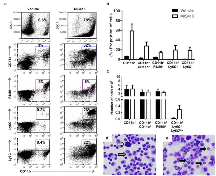 MIS416 vaccination increases granulocytic MDSC accumulation in the peritoneum of ovarian tumor-bearing mice.