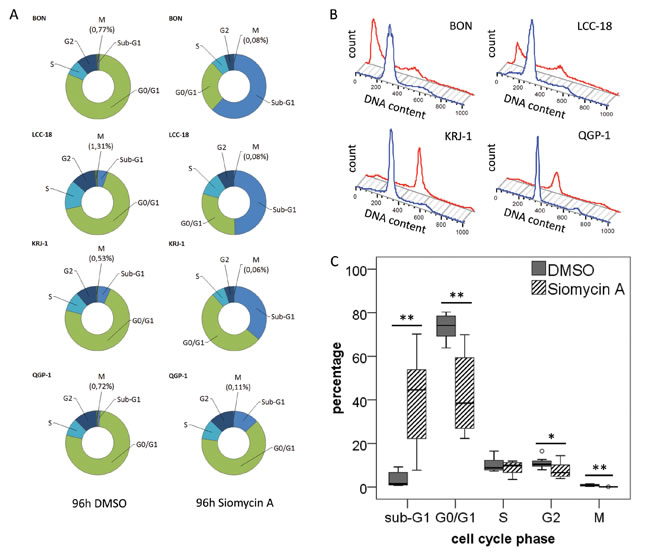 Cell cycle analysis of GEP-NEN cell lines treated with siomycin A .