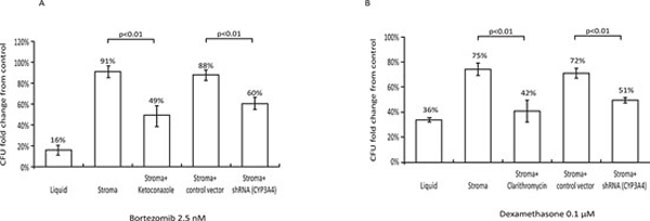 Role of stromal CYP3A4 in stroma-mediated resistance of MM cells to chemotherapy.