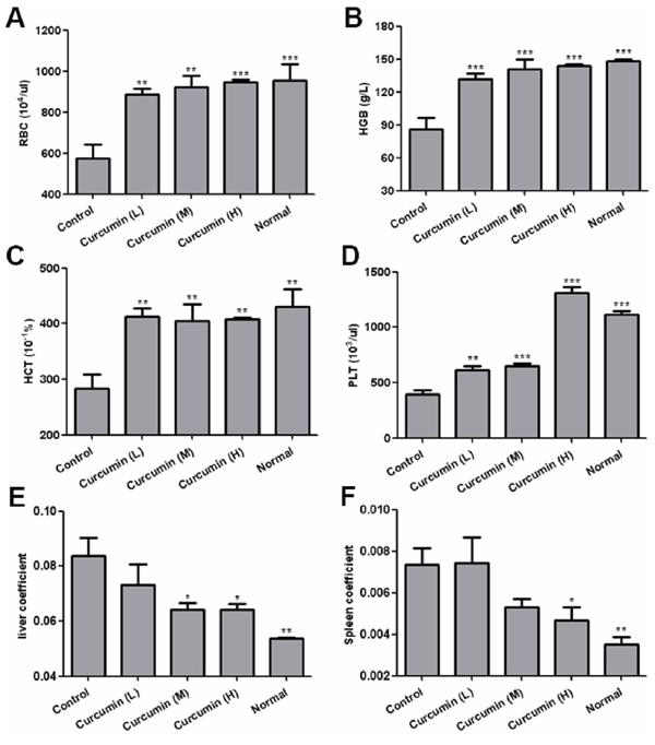 Curcumin improved anemia and hepatosplenomegaly in tumor-bearing mice.