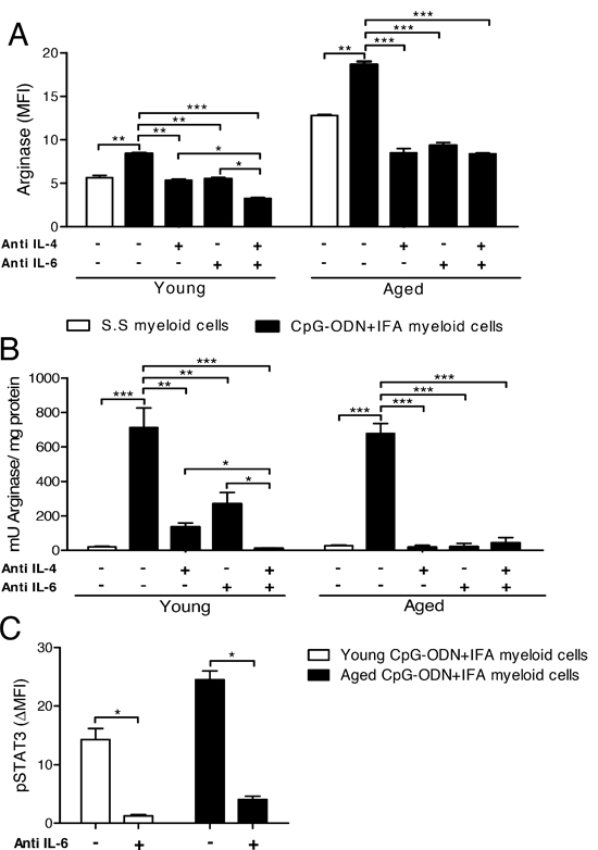 Environmental IL-4 and IL-6 are involved in arginase induction in myeloid cells from CpG-ODN+IFA-treated mice.