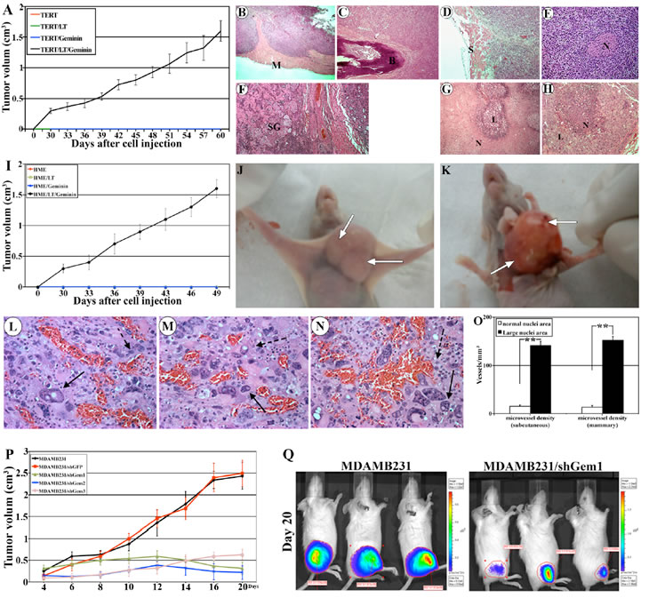 Figure 6: