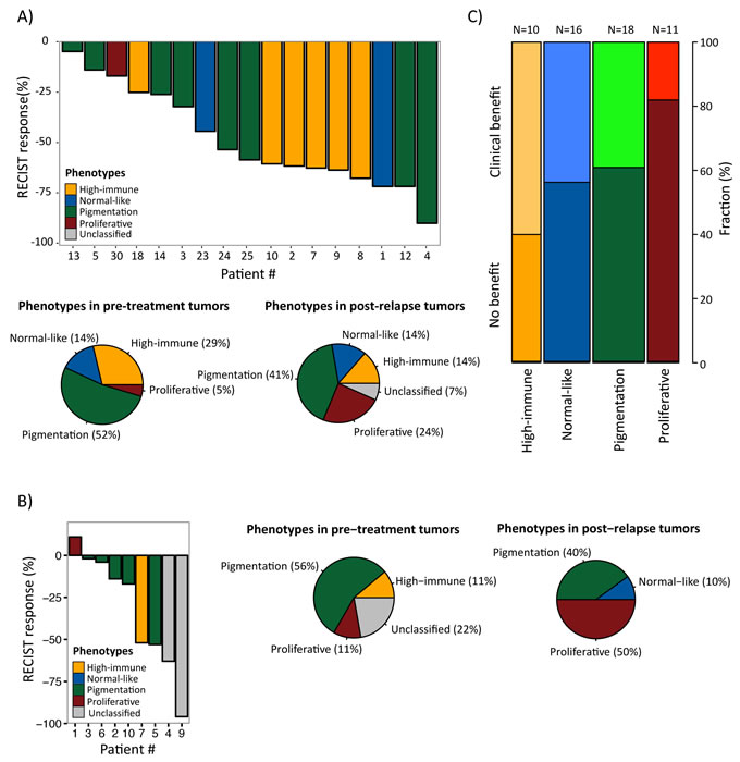 Gene expression phenotypes and prediction of clinical benefit from molecular targeted therapies.