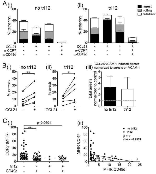 CCL21 is capable to induce arrests of tri12 CLL cells on VCAM-1 under shear stress.