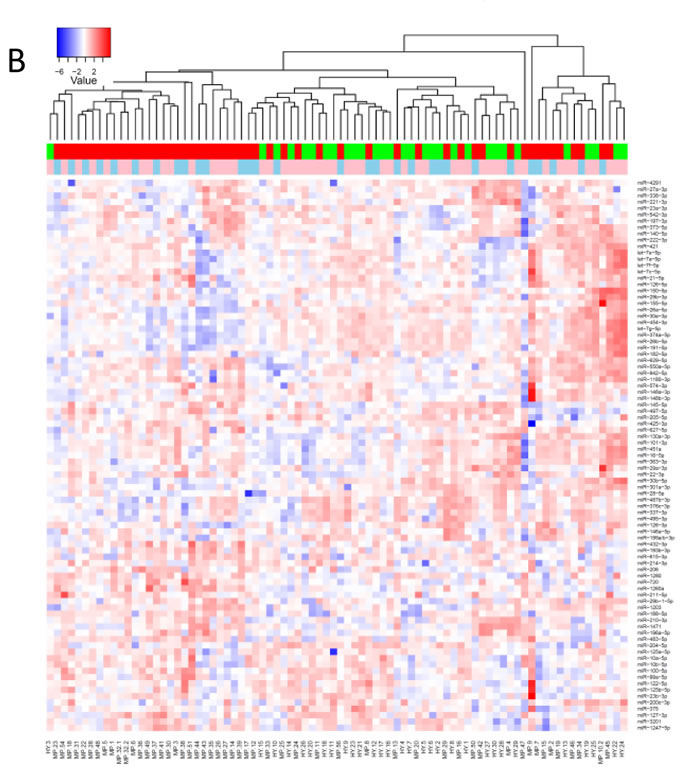 fig3b