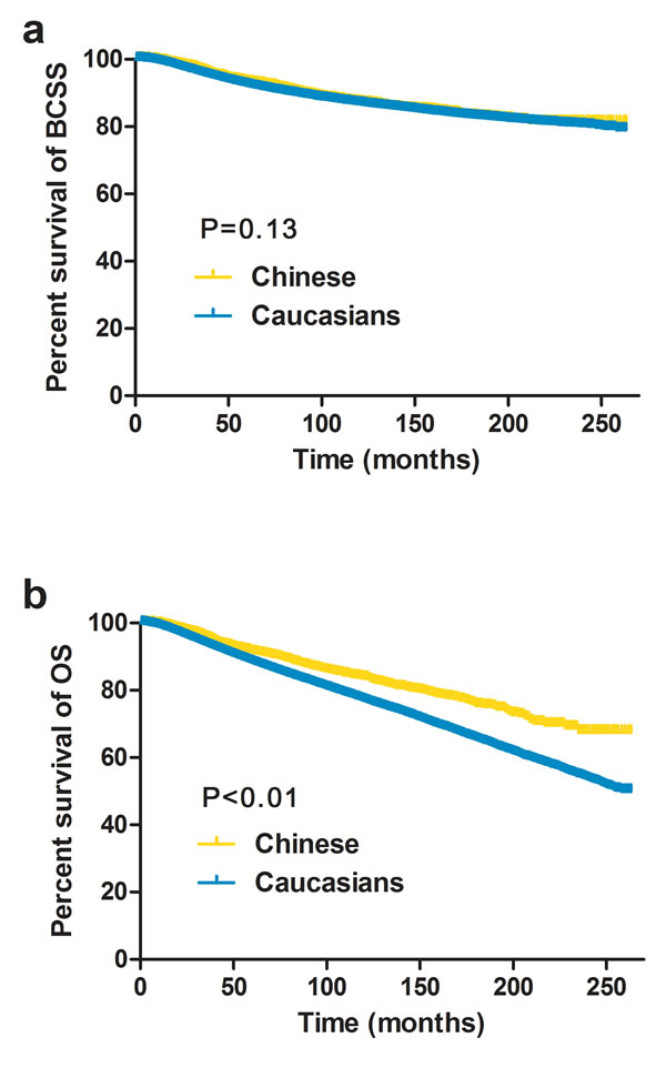 Kaplan&#x2013;Meier estimates of breast cancer-specific survival (