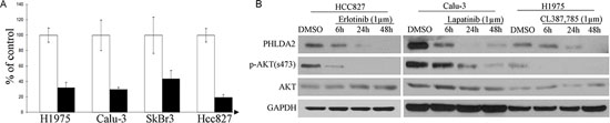 PHLDA2 is immediately regulated by ErbB2 inhibition.