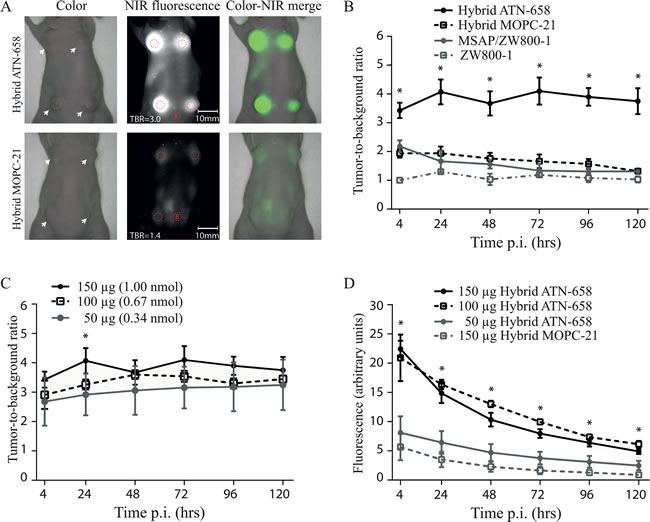 Figure 3: