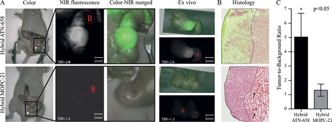 Figure 4: