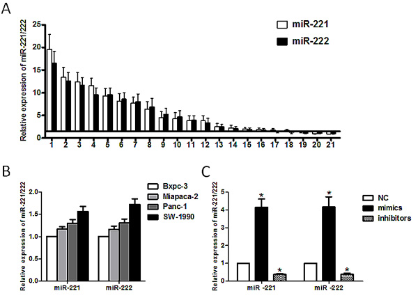 Expression of miR-221/222 in pancreatic cancer tissues and cell lines.
