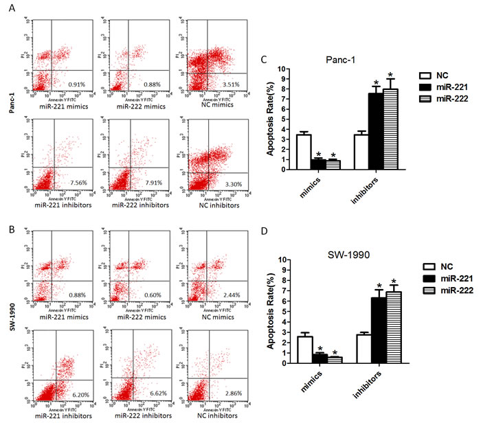 Up-regulated or down-regulated miR-221/222 levels in pancreatic cancer cell lines decrease or increase the rate of apoptosis.