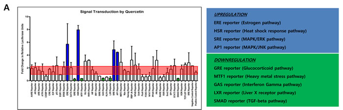 Effects of quercetin or isoliquiritigenin on signal transduction.