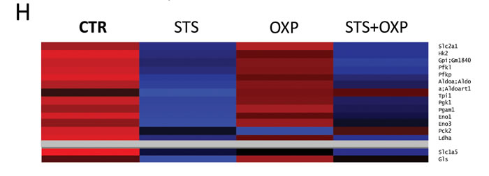 fig3b