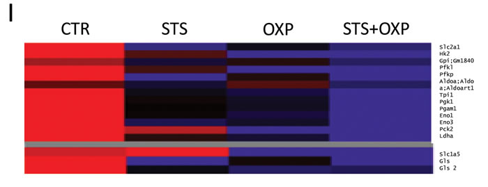 fig3c