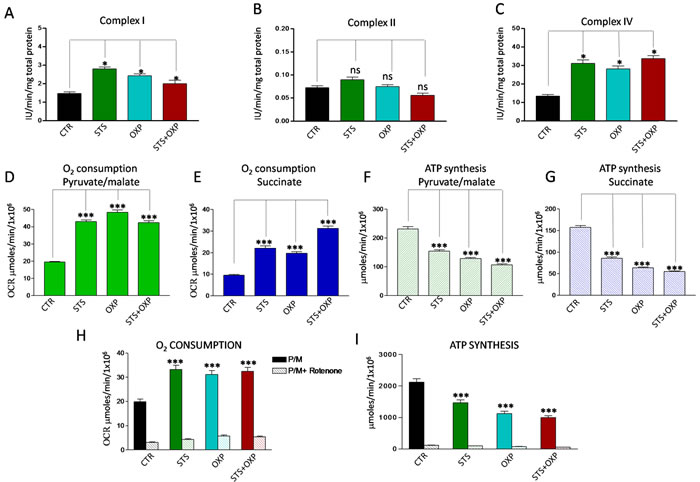 Effect of STS in combination with chemotherapy on oxidative phosphorylation activity of CT26 colon carcinoma cells.