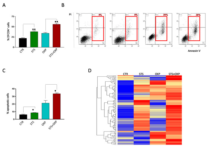 Effect of STS in combination with chemotherapy on reactive oxygen species production and apoptosis of colon carcinoma cells.