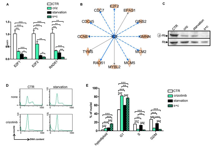 Gene expression and cell cycle regulation by starvation, crizotinib and their combination in H3122 cells.