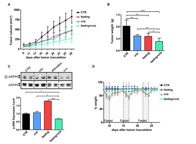 Fasting potentiates the anticancer activity of crizotinib