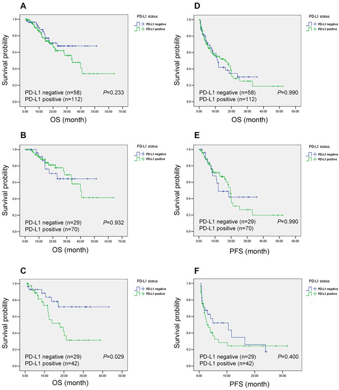 Kaplan-Meier curves of overall survival (OS) and progression-free survival (PFS) according to programmed cell death-ligand 1 (PD-L1) expression status in non-small cell lung cancer (NSCLC) patients.