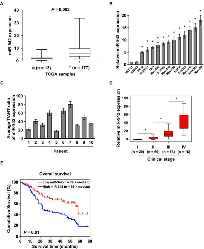 Overexpression of miR-942 is positively associated with ESCC prognosis.